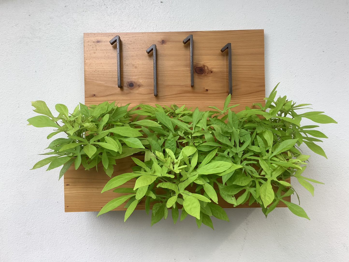 Address Planter